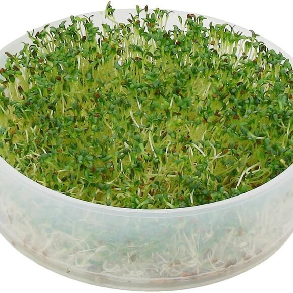 VKP Brands 4-Tray Sprouter - Picture 6 of 7